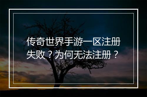 传奇世界手游一区注册失败？为何无法注册？