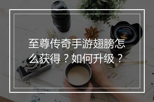 至尊传奇手游翅膀怎么获得？如何升级？