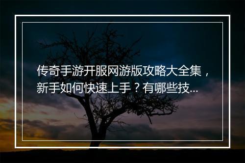 传奇手游开服网游版攻略大全集,新手如何快速上手?有哪些技巧?