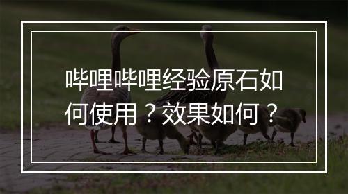 哔哩哔哩经验原石如何使用？效果如何？