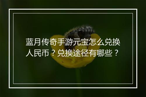 蓝月传奇手游元宝怎么兑换人民币？兑换途径有哪些？