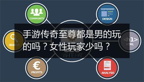 手游传奇至尊都是男的玩的吗？女性玩家少吗？