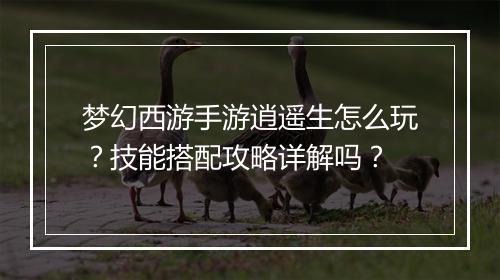 梦幻西游手游逍遥生怎么玩？技能搭配攻略详解吗？