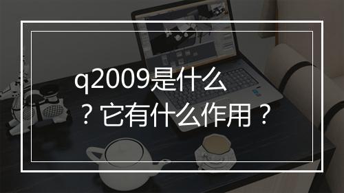 q2009是什么？它有什么作用？