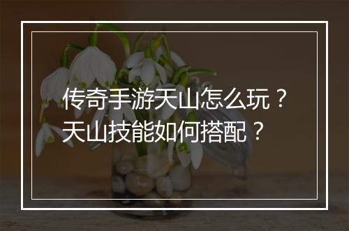 传奇手游天山怎么玩？天山技能如何搭配？