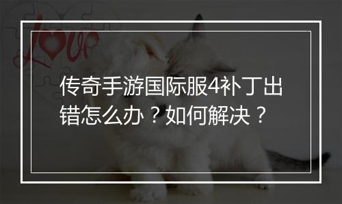 传奇手游国际服4补丁出错怎么办？如何解决？