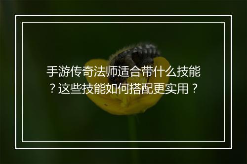 手游传奇法师适合带什么技能？这些技能如何搭配更实用？