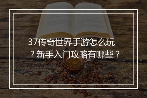 37传奇世界手游怎么玩？新手入门攻略有哪些？