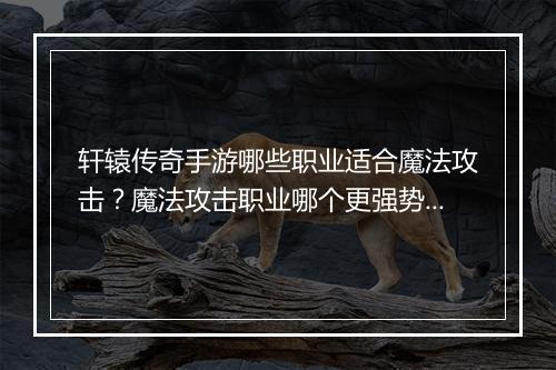 轩辕传奇手游哪些职业适合魔法攻击？魔法攻击职业哪个更强势？