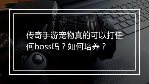 传奇手游宠物真的可以打任何boss吗？如何培养？