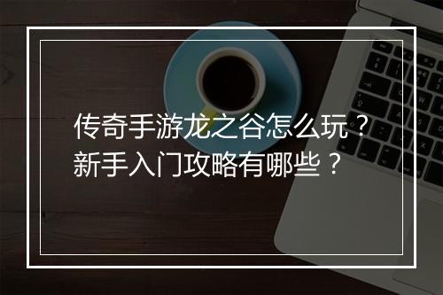 传奇手游龙之谷怎么玩？新手入门攻略有哪些？