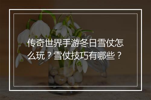 传奇世界手游冬日雪仗怎么玩？雪仗技巧有哪些？