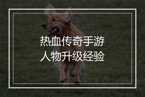 热血传奇手游人物升级经验
