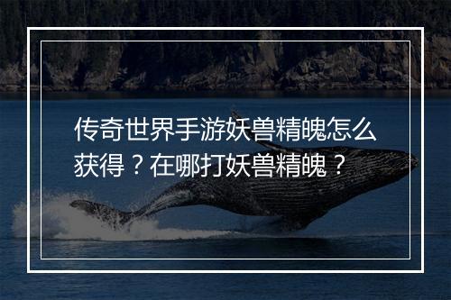 传奇世界手游妖兽精魄怎么获得？在哪打妖兽精魄？