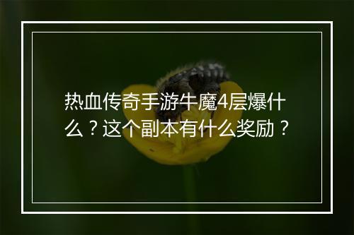 热血传奇手游牛魔4层爆什么？这个副本有什么奖励？
