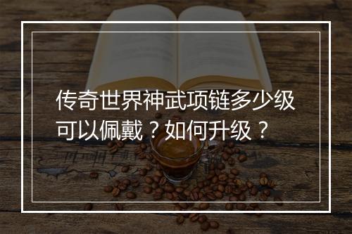 传奇世界神武项链多少级可以佩戴？如何升级？