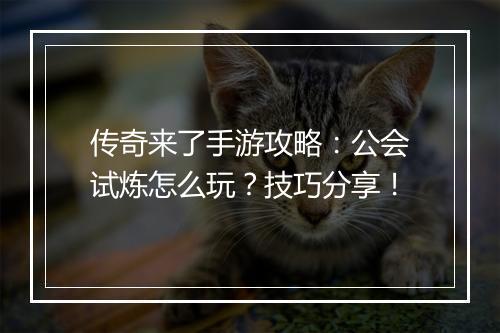 传奇来了手游攻略：公会试炼怎么玩？技巧分享！