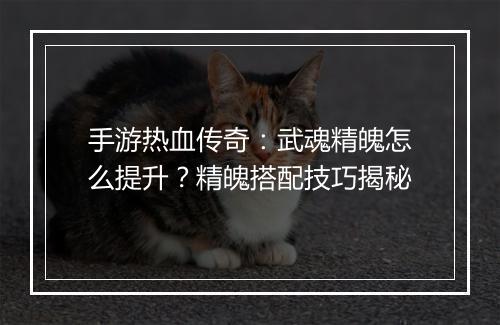 手游热血传奇：武魂精魄怎么提升？精魄搭配技巧揭秘