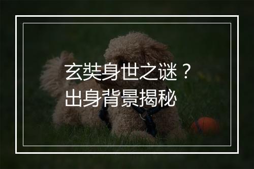 玄奘身世之谜？出身背景揭秘