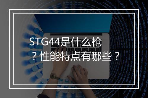 STG44是什么枪？性能特点有哪些？