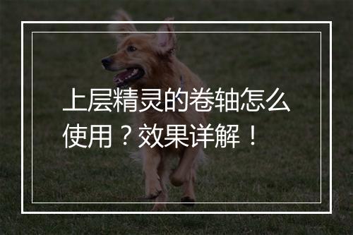 上层精灵的卷轴怎么使用？效果详解！