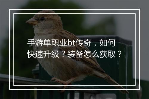 手游单职业bt传奇，如何快速升级？装备怎么获取？