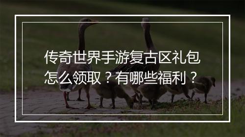 传奇世界手游复古区礼包怎么领取？有哪些福利？
