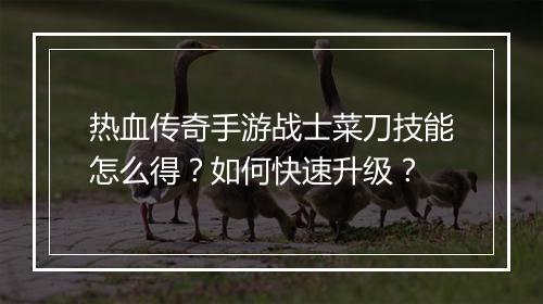 热血传奇手游战士菜刀技能怎么得？如何快速升级？