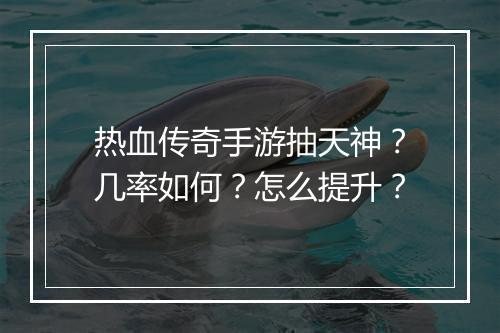热血传奇手游抽天神？几率如何？怎么提升？