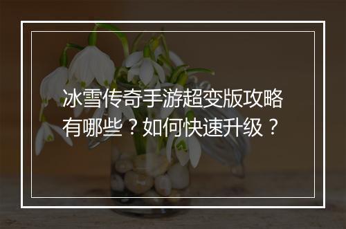 冰雪传奇手游超变版攻略有哪些？如何快速升级？