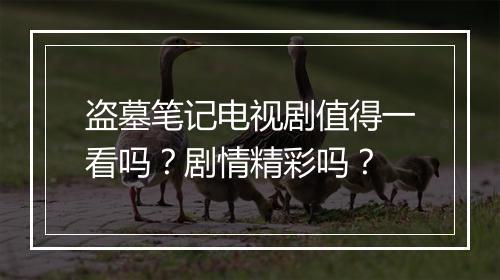 盗墓笔记电视剧值得一看吗？剧情精彩吗？