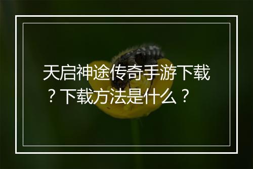 天启神途传奇手游下载？下载方法是什么？