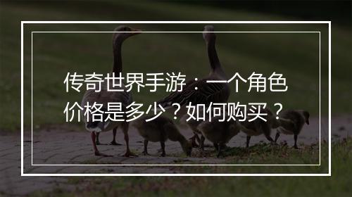 传奇世界手游：一个角色价格是多少？如何购买？