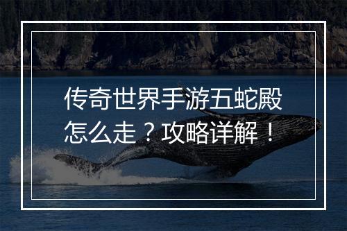 传奇世界手游五蛇殿怎么走？攻略详解！