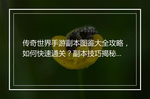 传奇世界手游副本图鉴大全攻略，如何快速通关？副本技巧揭秘！