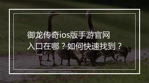 御龙传奇ios版手游官网入口在哪？如何快速找到？