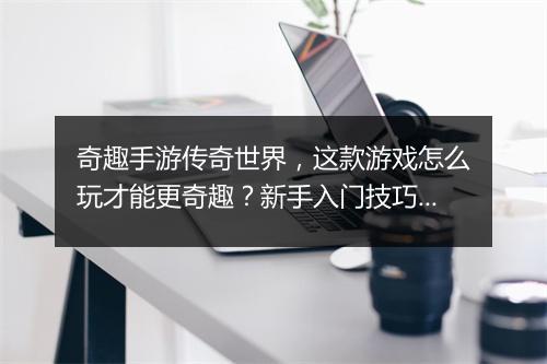 奇趣手游传奇世界，这款游戏怎么玩才能更奇趣？新手入门技巧有哪些？