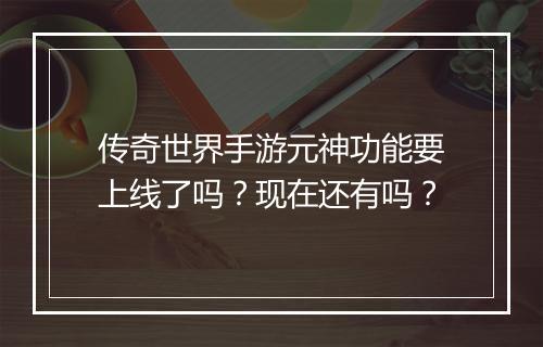 传奇世界手游元神功能要上线了吗？现在还有吗？