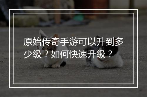 原始传奇手游可以升到多少级？如何快速升级？
