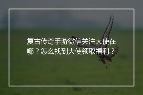 复古传奇手游微信关注大使在哪？怎么找到大使领取福利？
