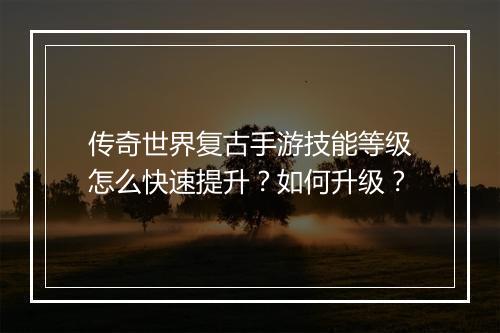传奇世界复古手游技能等级怎么快速提升？如何升级？