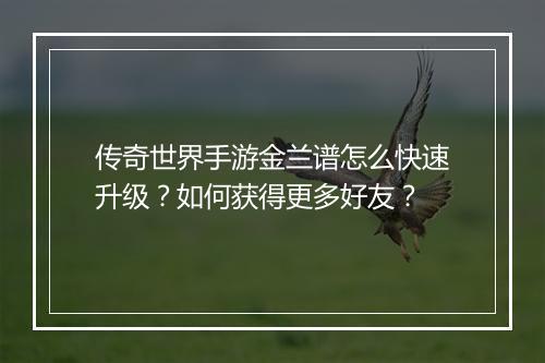 传奇世界手游金兰谱怎么快速升级？如何获得更多好友？