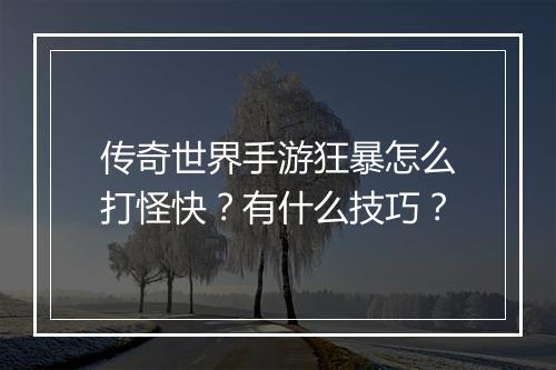 传奇世界手游狂暴怎么打怪快？有什么技巧？