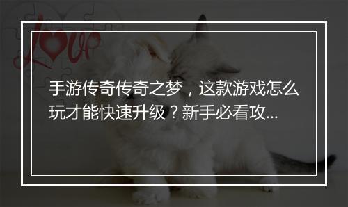 手游传奇传奇之梦，这款游戏怎么玩才能快速升级？新手必看攻略！