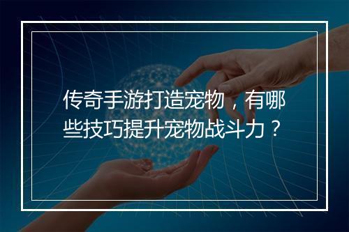 传奇手游打造宠物，有哪些技巧提升宠物战斗力？