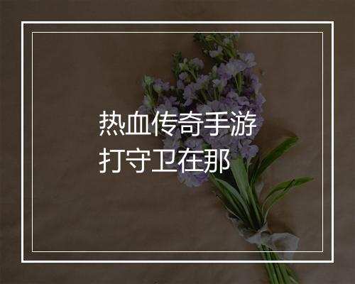 热血传奇手游打守卫在那
