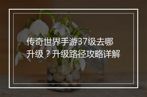传奇世界手游37级去哪升级？升级路径攻略详解