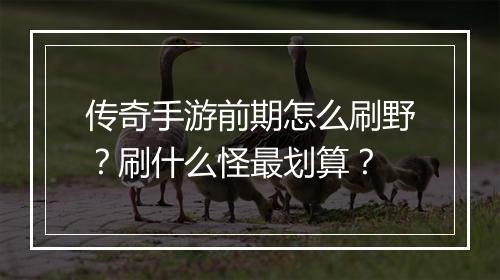 传奇手游前期怎么刷野？刷什么怪最划算？