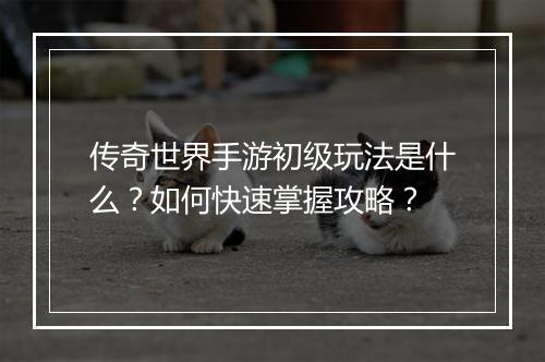 传奇世界手游初级玩法是什么？如何快速掌握攻略？