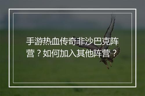 手游热血传奇非沙巴克阵营？如何加入其他阵营？